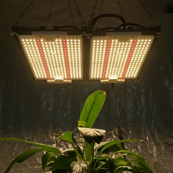 Двойной радиатор Kingbrite 240 Вт LM301H LED Grow Light mix Epistar 660nm QB288 для комнатных растений